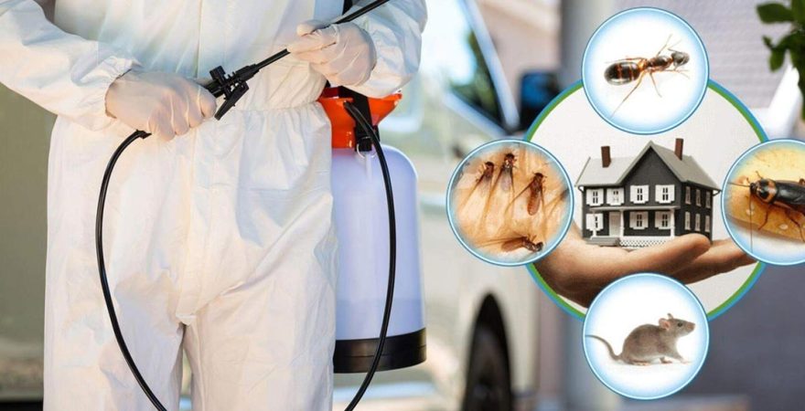 Şuhut Böcek İlaçlama