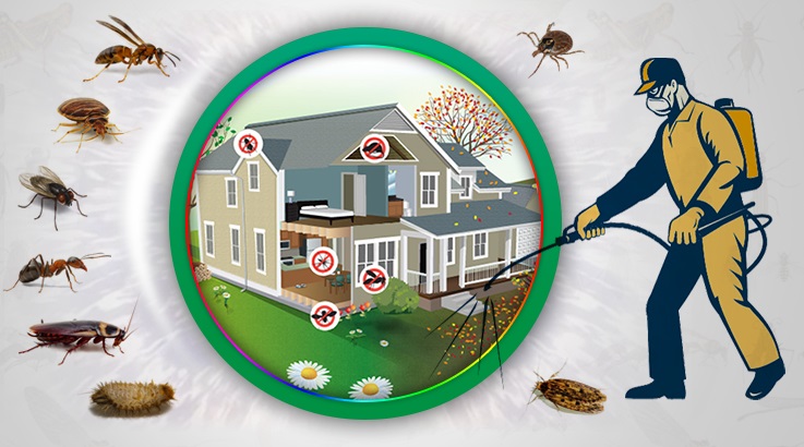 Şuhut Böcek İlaçlama