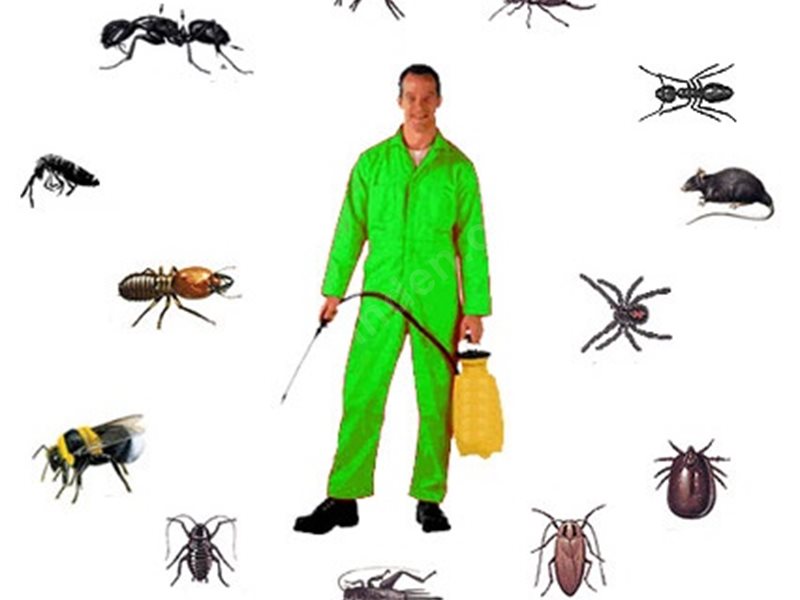 Şuhut Böcek İlaçlama